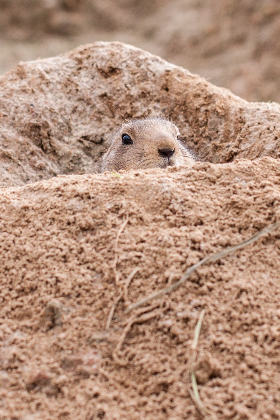 Ergens als een berg tegenop zien, zo maak je het draaglijker