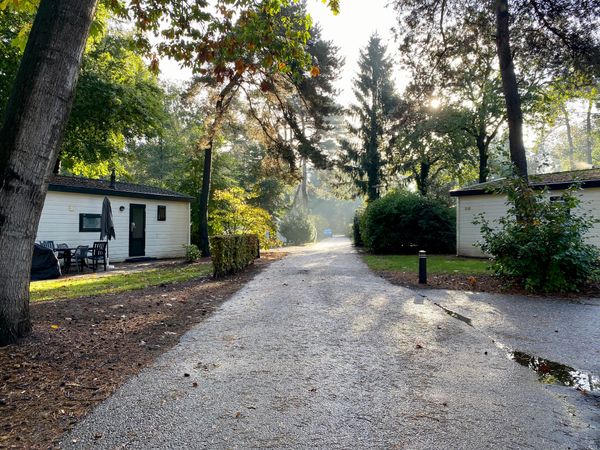 Roompot Bospark de Schaapskooi in Epe, positieve review